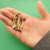 Psilocybe Cubensis mushrooms in man's hand on green background. Psilocybin psychedelic magic mushrooms Golden Teacher. Top view, flat lay. Micro-dosing concept.