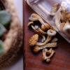 Dry Psilocybe Cubensis mushrooms on a wooden board surrounded by indoor plants. Life style microdosing concept.