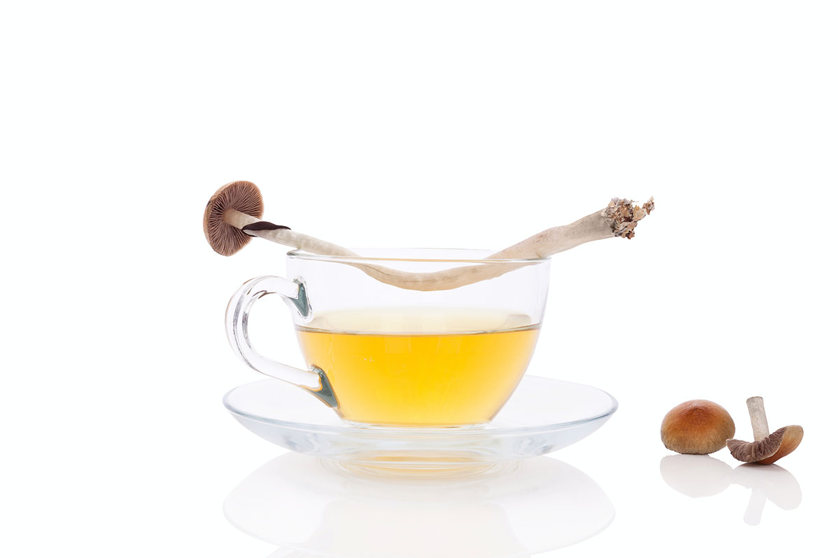 Psychedelic mushroom tea with fresh mushrooms, isolated on white background. Alternative medicine, natural remedy.