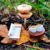 Miniature sofa and coffee cups on a toy table, nestled by the towering mushrooms in the forest. Calming escape from the everyday fuss.