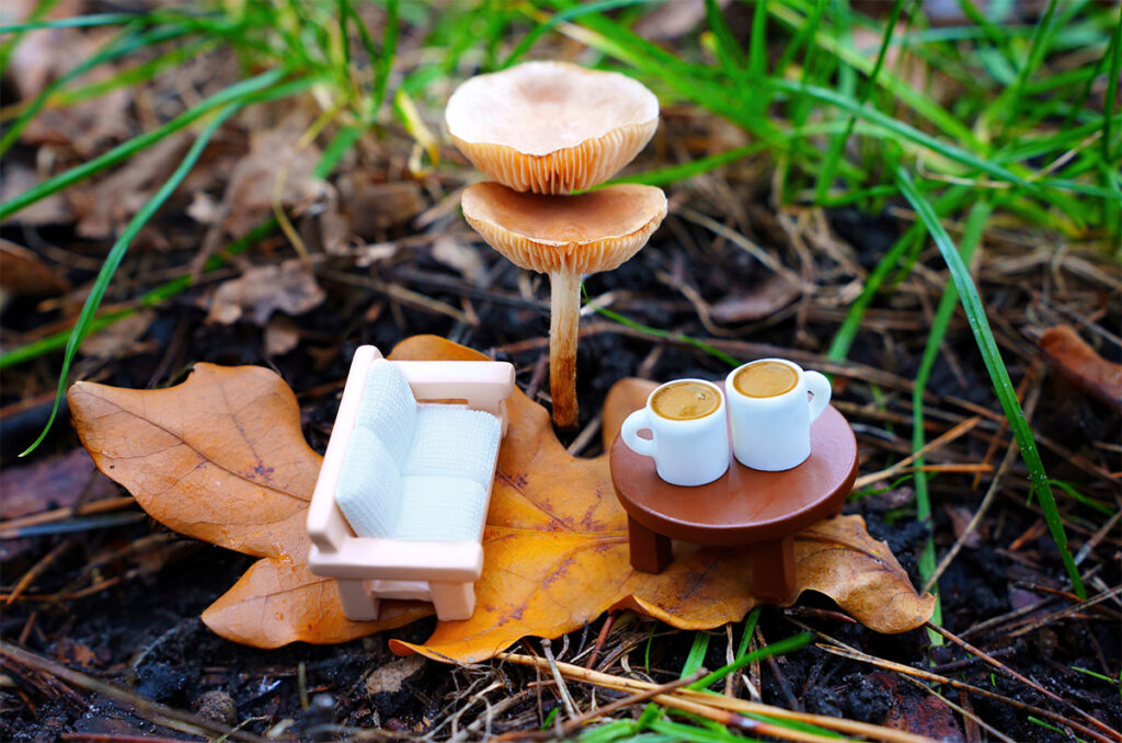 Miniature sofa and coffee cups on a toy table, nestled by the towering mushrooms in the forest. Calming escape from the everyday fuss.