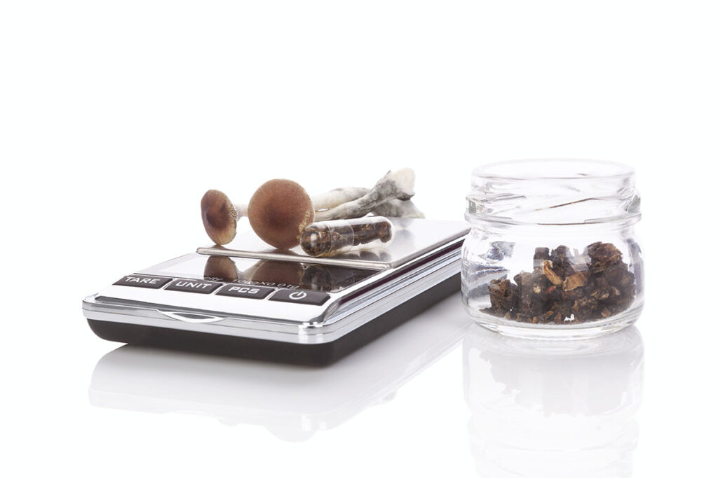 Fresh magic mushrooms, gelcaps on digital scale, dried mushrooms in glass jar, isolated on white background.Alternative medicine.