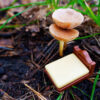 Lost in a Dream: Tiny toy bed is placed under a canopy of mushrooms in the woods. Exploring the mysteries of the subconscious mind.