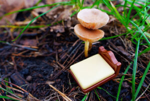 Lost in a Dream: Tiny toy bed is placed under a canopy of mushrooms in the woods. Exploring the mysteries of the subconscious mind.