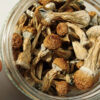 Glass jar on white background. Psychedelic, magic mushroom. Medical usage, wellbeing.