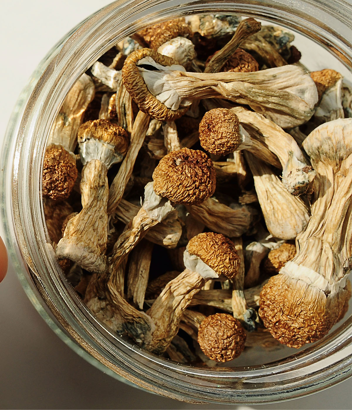 Glass jar on white background. Psychedelic, magic mushroom. Medical usage, wellbeing.